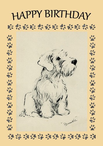Sealyham terrier dog - sealyham, birthday