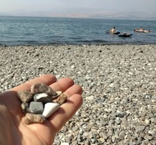  Sea of Galilee, Holy Land PEBBLES where Jesus walked