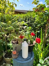 White Plastic Bottles empty  1