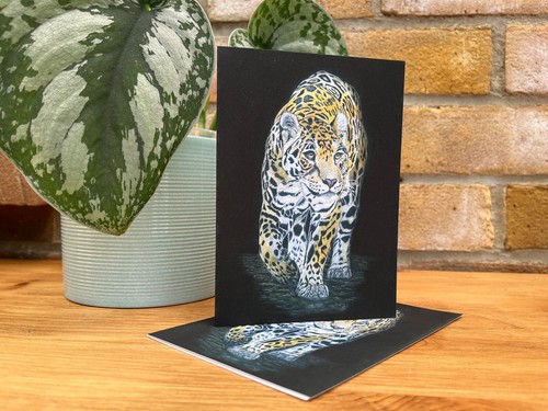 Jaguar big cat notecards - big, pack