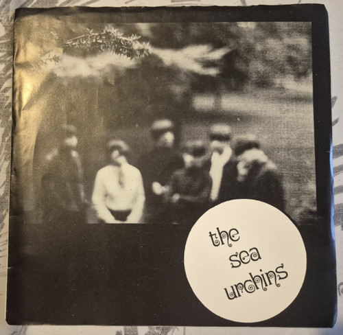 Rare the sea urchins - sea,