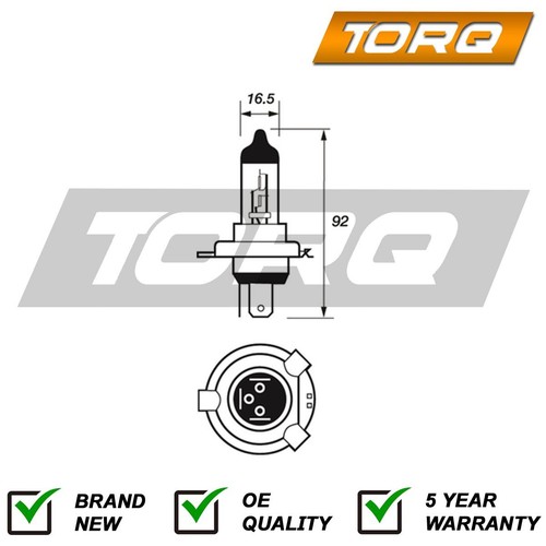 Bulbs manual front torq fits - bulbs,