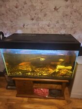 fish tank 300 litres water sealed fish included filter and heater