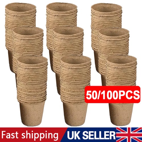 100 200pcs grow - 100/200pcs,