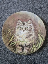 Royal Worcester 1985 Kitten Classics 3rd Issue Collector Plate - 'Wild Flower'