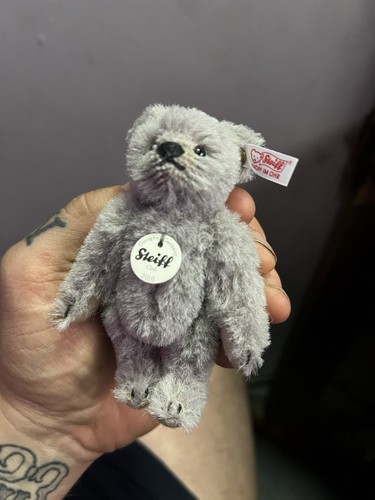 Grey teddy bear 2010 - bear,