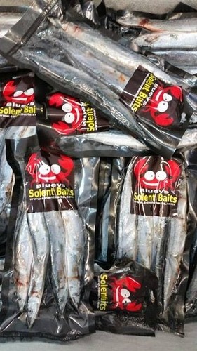 Packs large blueys - large,