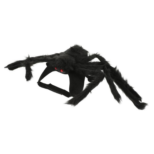 Spider costume for small - spider,