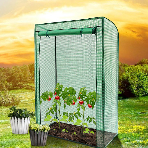 Tomato greenhouse reinforced - tomato,
