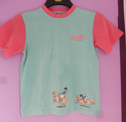 Horse shirt age - 2, years