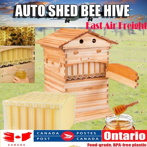 Automatic oozing beekeeping - 7,