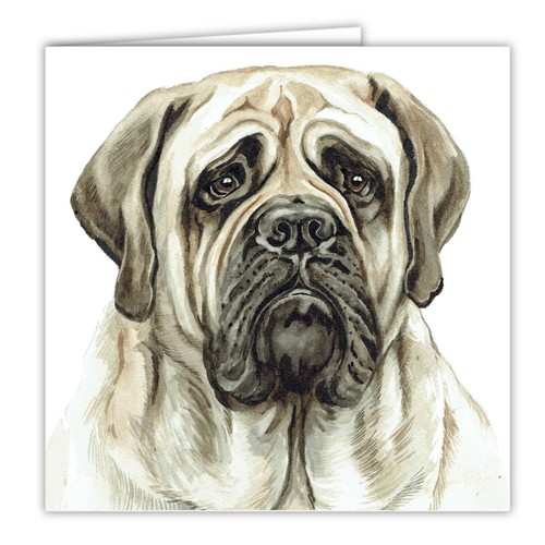 English bull mastiff greetings - bull,
