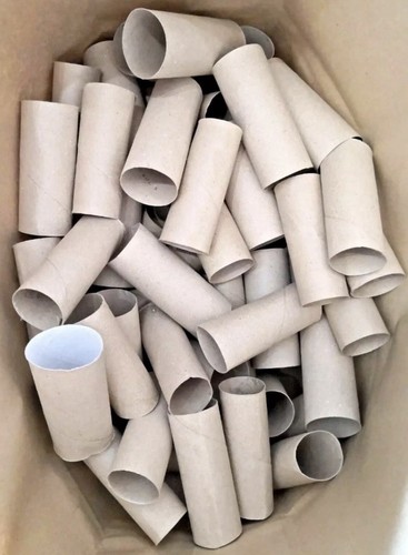Empty toilet roll tubes - x,
