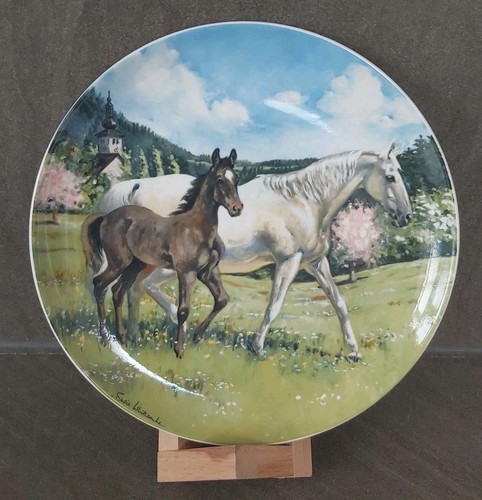 Noble horse austrian - noble,
