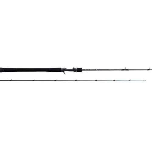 Tenryu baitcasting rod horizon - baitcasting,
