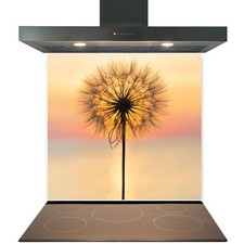 Kitchen Glass Splashback
