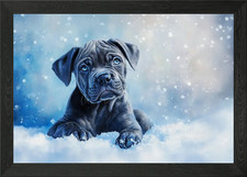 Blue Cane Corso Puppy in Snow