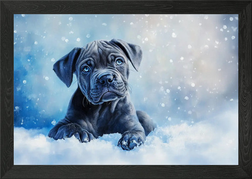 Blue cane corso puppy - cane, in