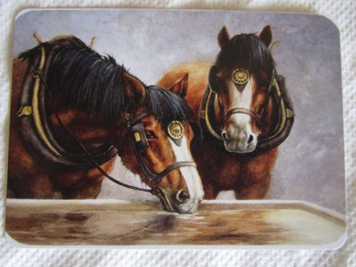 Horse swap card modern - swap, card~modern