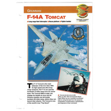 Vintage Grumman F-14A Tomcat