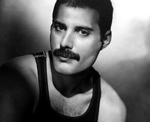 Freddie mercury unsigned - x,