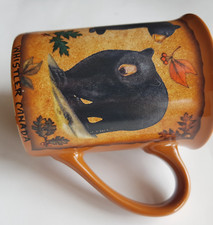 Whistler Canada Black Bear