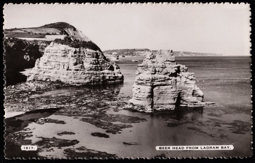 Beer head from ladram bay - beer,