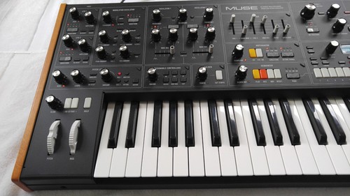 Moog muse analog - muse,