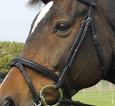 Heritage Leather Bridle with Flash and rubber reins - COB - Havana