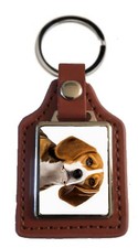 Beagle Dog Pet Brown Leather