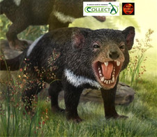 Tasmanian Devil Australian