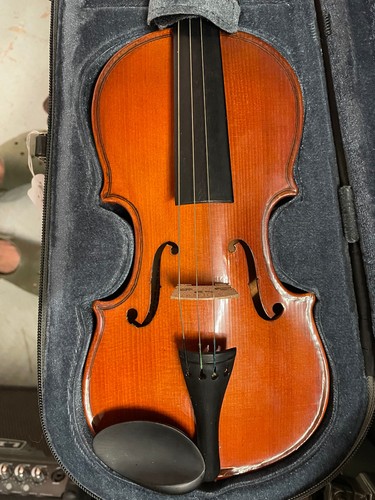 Size skylark violin - size, with