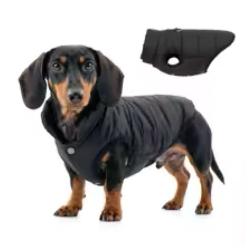 Pet dog jacket warm winter - dog,
