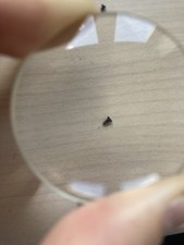 Hand held portable pocket glass magnifier 5x magnifying lens excellent condition