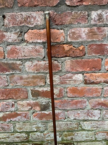Antique walking cane - walking, 84
