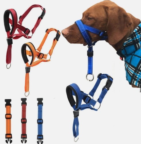 Puppy pet dog muzzle - pet,