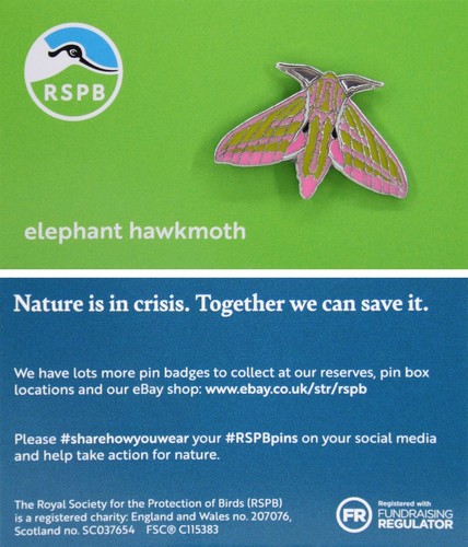 Rspb pin badge niic - rspb,