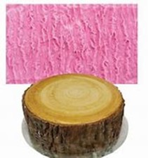 Bark Log Mould Wood Tree Trunk