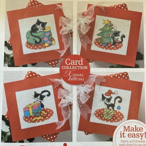Black cat cards - , holly