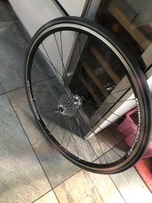 Black 10 speed Campagnolo Rear