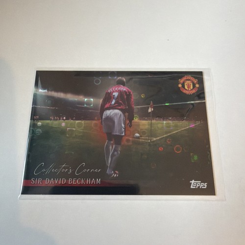 David beckham halo insert - david,