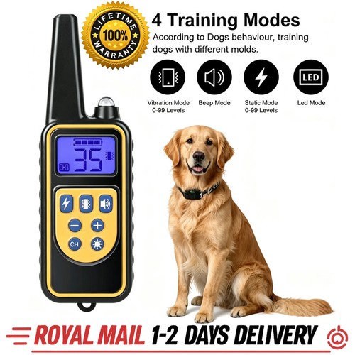 800m electric pet dog - dog, training