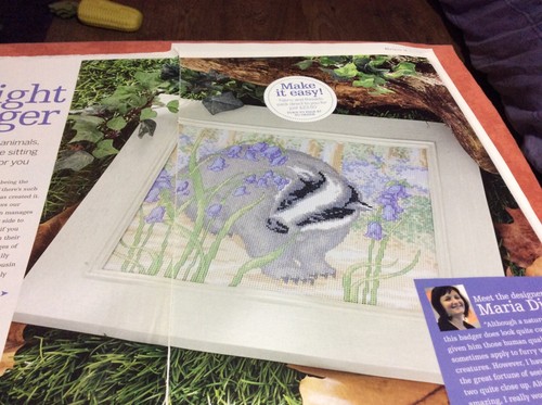 Badger bluebells cross - (z-4), &