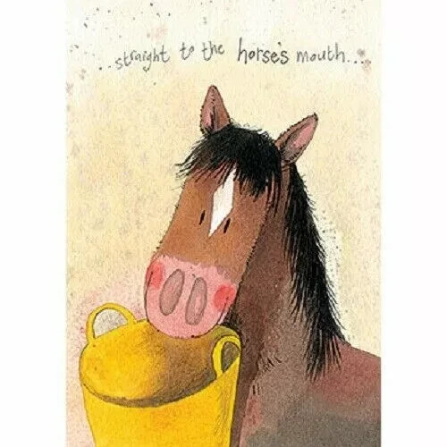 Funny horse card alex clark - funny,
