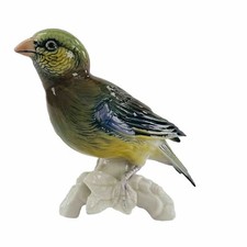 Karl Ens Bird Parrot Finch