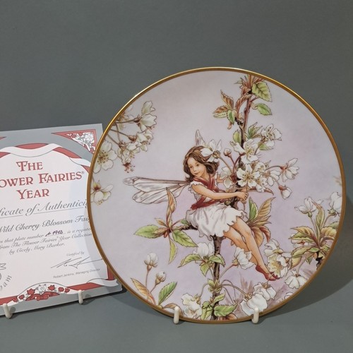 The flower fairies year - fairies,