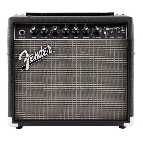 Fender champion combo - champion,