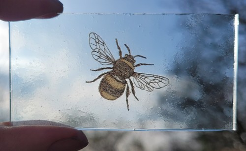 Stained glass bee - stained,