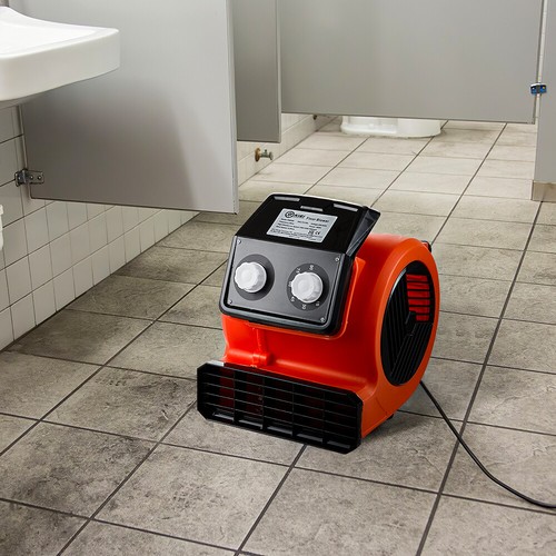 Carpet dryer blower - carpet,