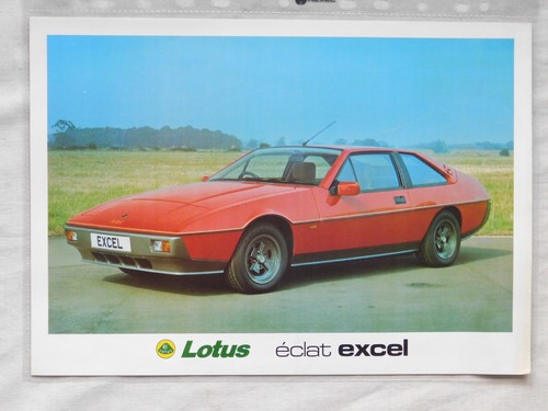 Lotus eclat excel double - lotus,